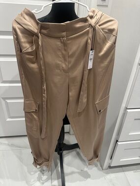Express Taupe Cargo Satin Ankle Pants
